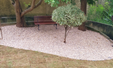 jardim para pet, paisagismo, jardinagem