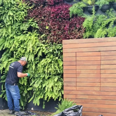 manutenção de jardim vertical, empresa de paisagismo, empresa de jardinagem, jardim
