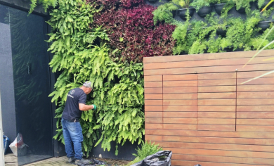 manutenção de jardim vertical, empresa de paisagismo, empresa de jardinagem, jardim