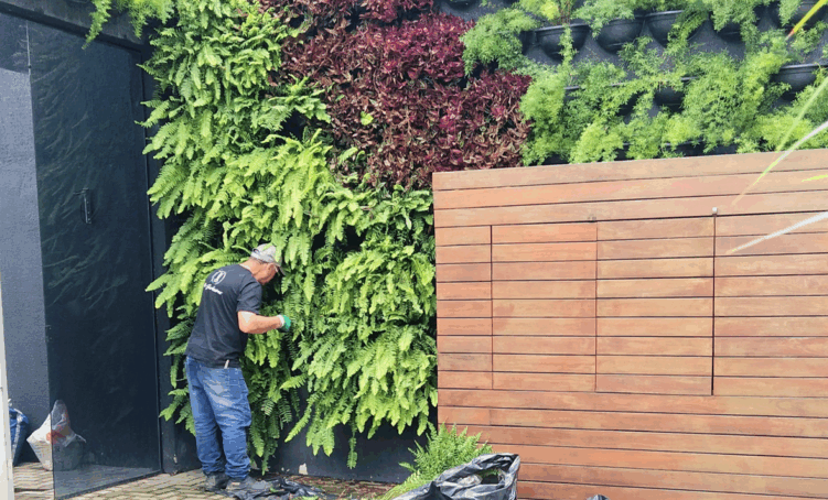 manutenção de jardim vertical, empresa de paisagismo, empresa de jardinagem, jardim