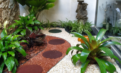 jardim de inverno, jardim em ambiente fechado, paisagismo para ambiente fechado, paisagismo ambiente interno, jardinagem