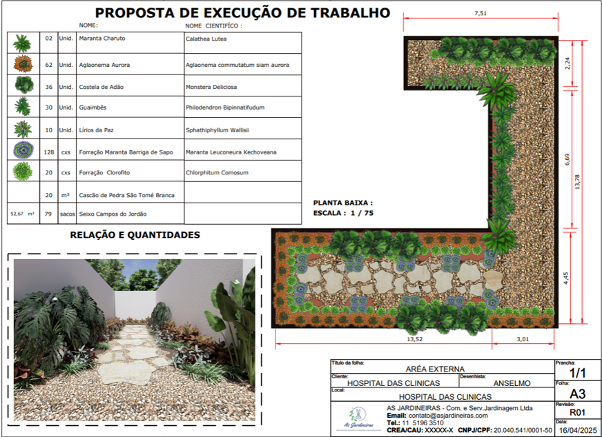 projeto executivo de jardim para hospital